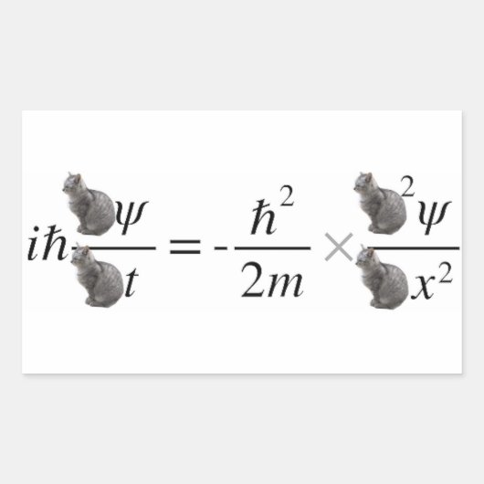 Schrodinger's cat rechthoekige sticker (Voorkant)