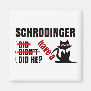 Schrodingers' Dillema Magneet