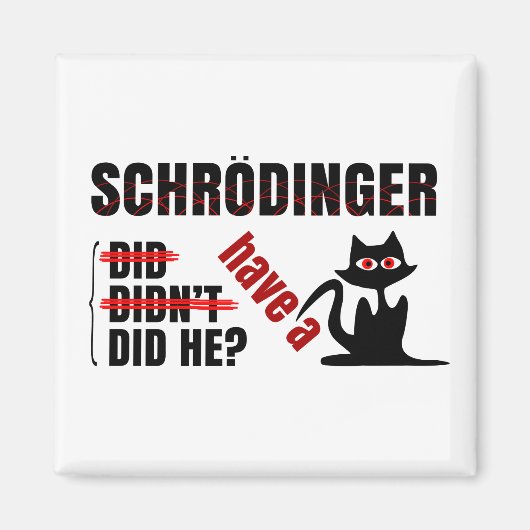 Schrodingers' Dillema Magneet (Voorkant)