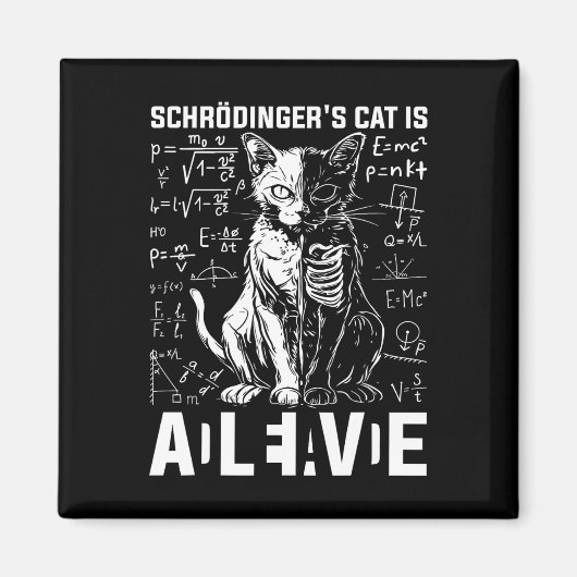 Schrödingers kat dood en levend magneet (Voorkant)