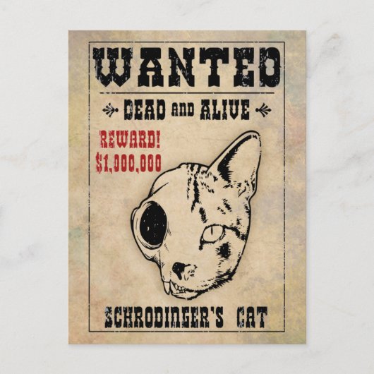 Schrodingers kat Gezocht II Briefkaart (Voorkant)