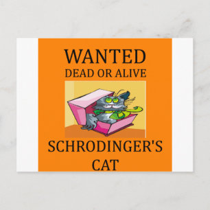 schrodinger's kat grap briefkaart