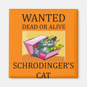 schrodinger's kat grap magneet