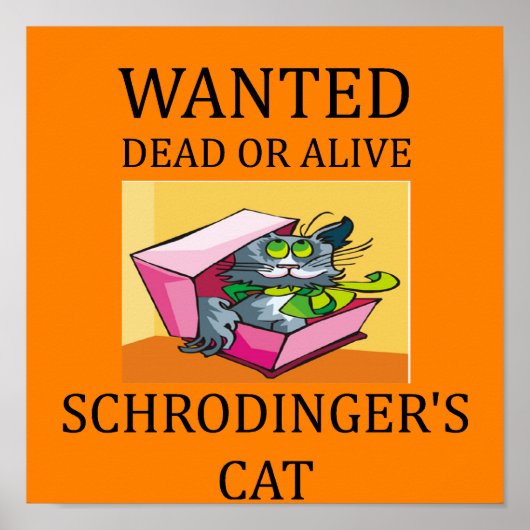 schrodinger's kat grap poster (Voorkant)