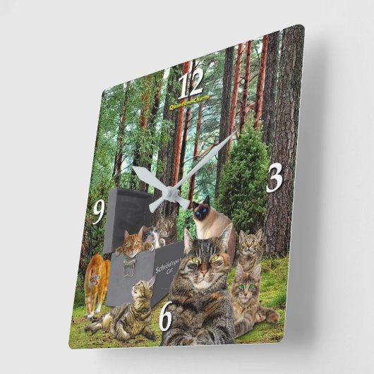 Schrodinger's kat klok (Hoek)