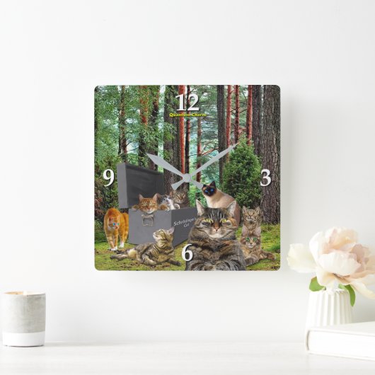 Schrodinger's kat klok (Huis)