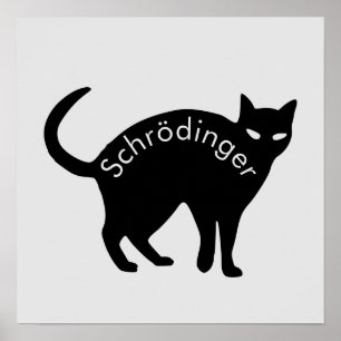 Schrödinger's kat poster