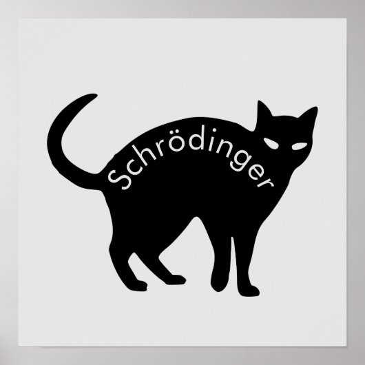 Schrödinger's kat poster (Voorkant)