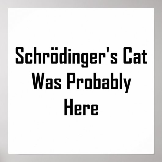 Schrodingers kat was waarschijnlijk hier poster (Voorkant)