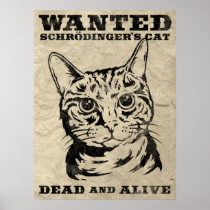 Schrodingers kat wilde dood of levend poster