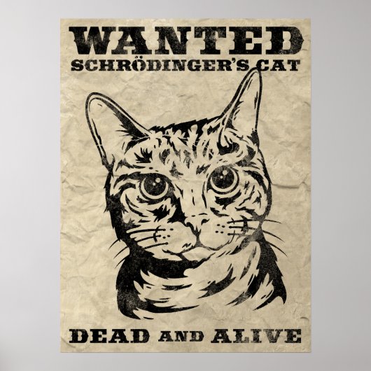 Schrodingers kat wilde dood of levend poster (Voorkant)