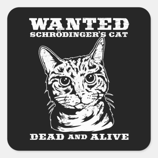 Schrodingers kat wilde dood of levend vierkante sticker (Voorkant)