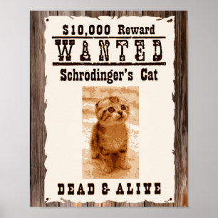Schrodingers kat wilde poster