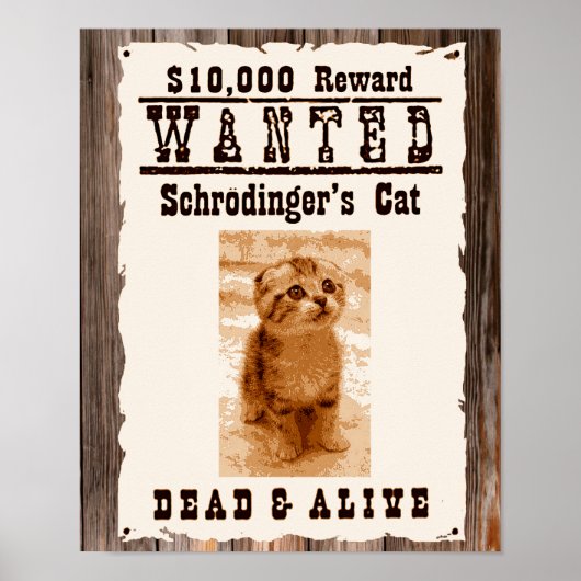 Schrodingers kat wilde poster (Voorkant)