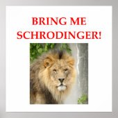 schrodingerskat poster (Voorkant)