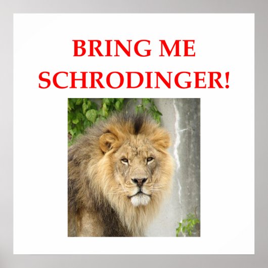 schrodingerskat poster (Voorkant)