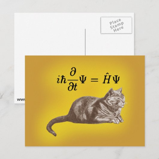 Schrodingingkat Briefkaart (Voorkant / Achterkant)