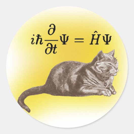 Schrodingingkat Ronde Sticker (Voorkant)