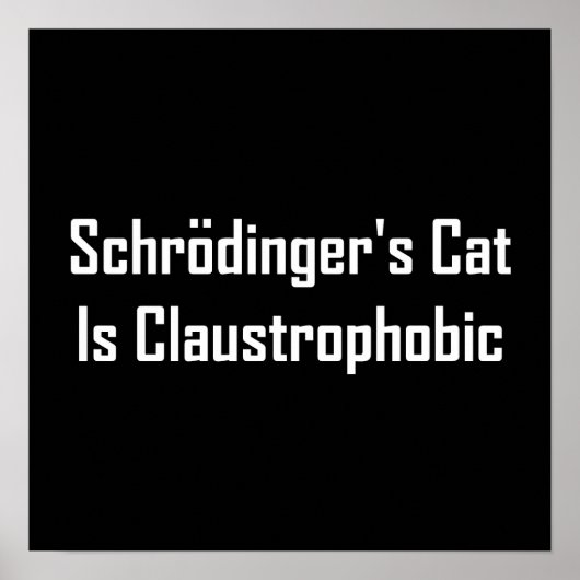 Schroedmachines Cat is claustrofobisch Poster (Voorkant)