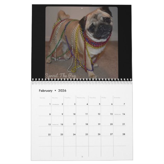 Schroef de Pug Agenda 2019 Kalender (Feb 2026)