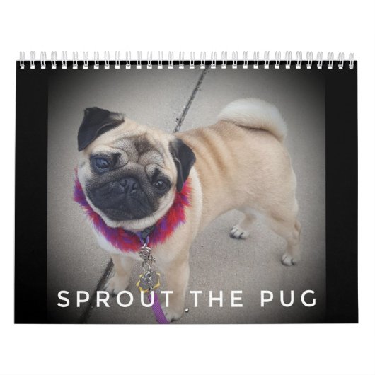 Schroef de Pug Agenda 2019 Kalender (Hoes)