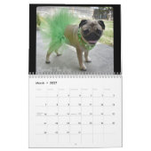 Schroef de Pug Agenda 2019 Kalender (Mar 2027)