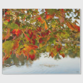 Schroef draaien cadeaupapier (Vlak)