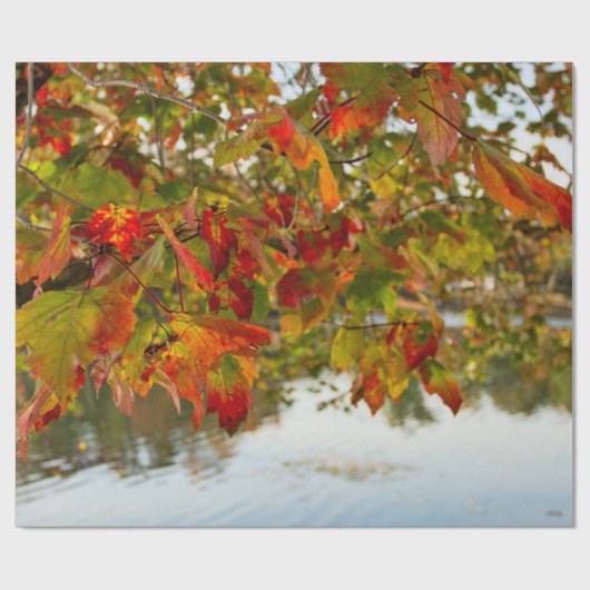 Schroef draaien cadeaupapier (Vlak)