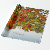 Schroef draaien cadeaupapier (Uitgerold)