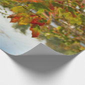 Schroef draaien cadeaupapier (Hoek)