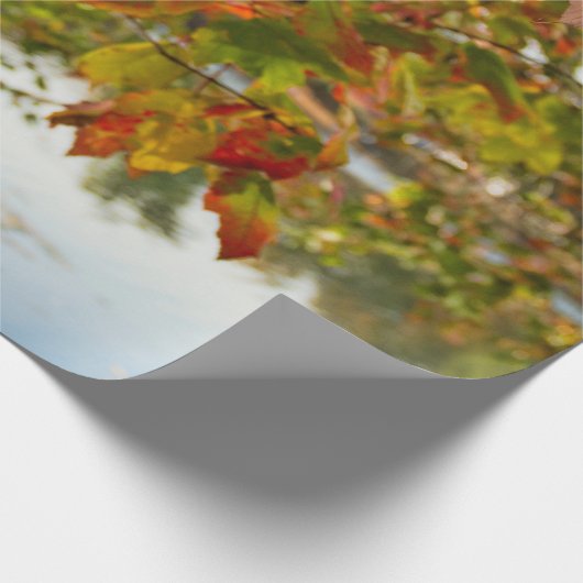 Schroef draaien cadeaupapier (Hoek)