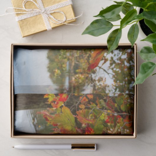 Schroef draaien tissuepapier (Geschenk)