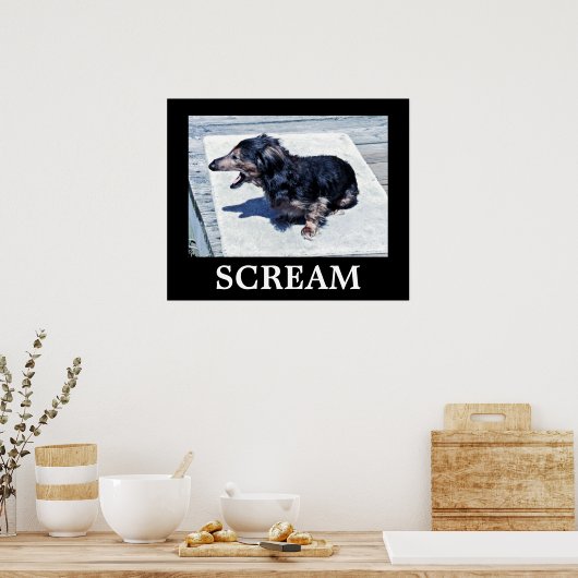 Schroef Poster (Keuken)