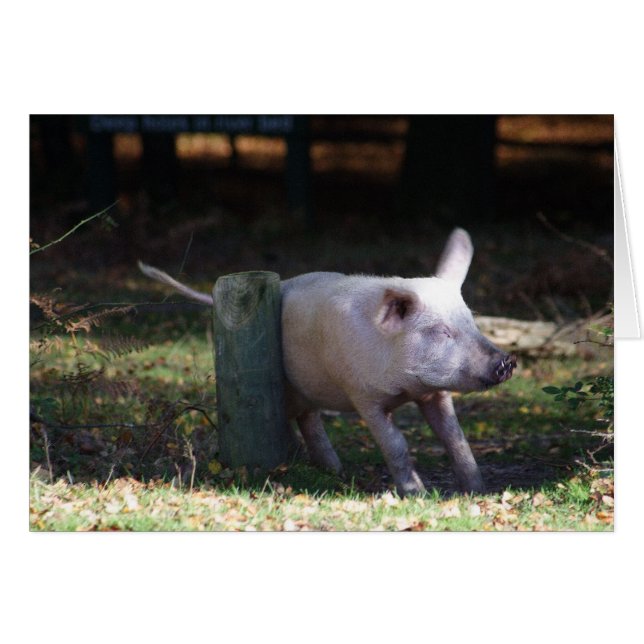 Schroefkaart voor varkensvlees (Voorkant Horizontaal)