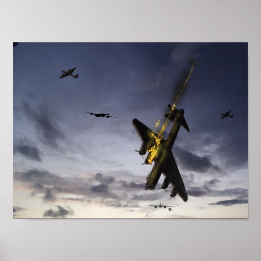 Schroefkrachtduif Poster (Voorkant)