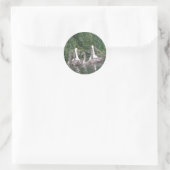 Schroefnetten en witnetten ronde sticker (Tas)