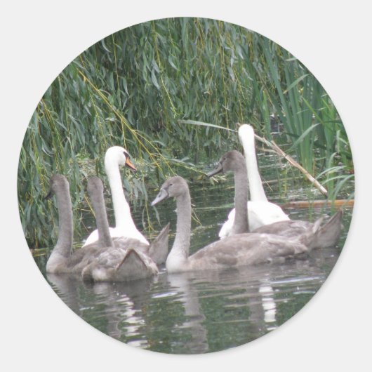 Schroefnetten en witnetten ronde sticker (Voorkant)