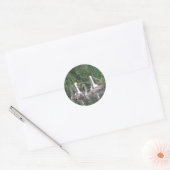 Schroefnetten en witnetten ronde sticker (Envelop)