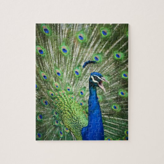 Schroefpauw Legpuzzel (Verticaal)