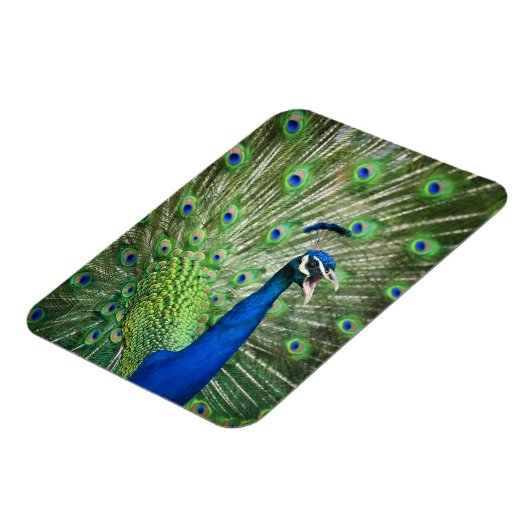 Schroefpauw Magneet (Linkerzijde)