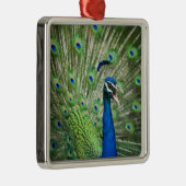 Schroefpauw Metalen Ornament (Rechts)