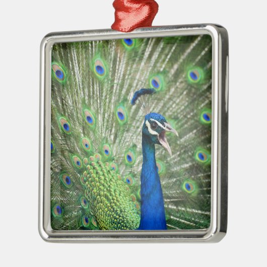 Schroefpauw Metalen Ornament (Links)