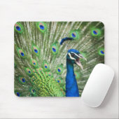 Schroefpauw Muismat (Met muis)