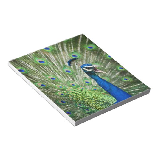 Schroefpauw Notitieblok (Schuin)