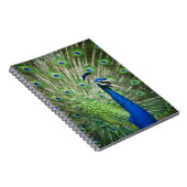 Schroefpauw Notitieboek (Rechterzijde)