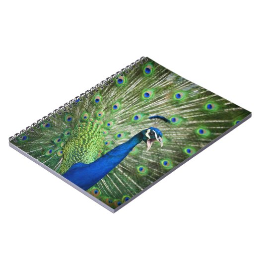 Schroefpauw Notitieboek (Linkerzijde)