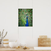 Schroefpauw Poster (Keuken)