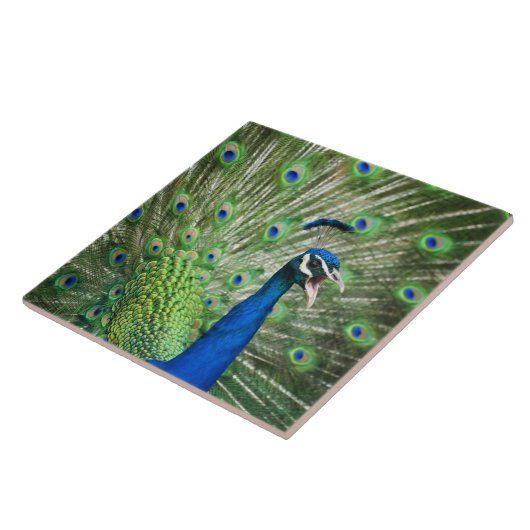 Schroefpauw Tegeltje (Zijkant)