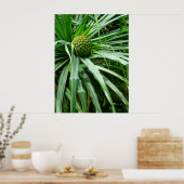 Schroefpijnboomvruchten en halafabrikaten poster (Keuken)