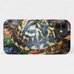 Schroefschildpad in het bos, Chester, South Caroli Case-Mate iPhone Case
